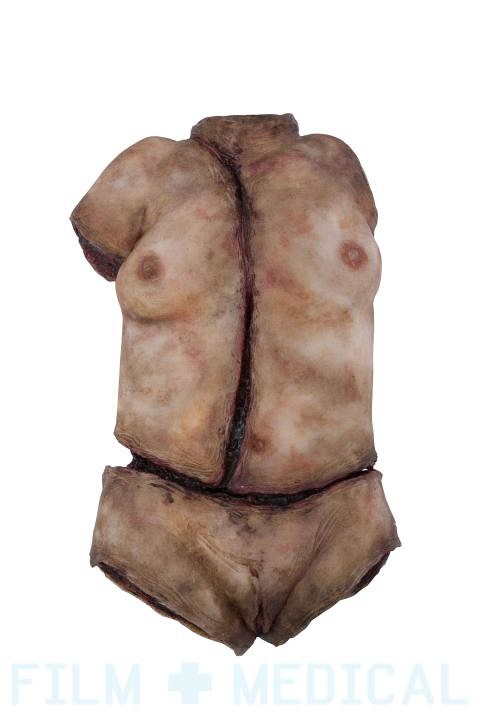 Synthetic Torso